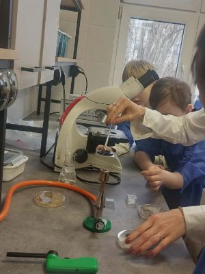 uczniowie podczas obserwacji preparatu pleśni pod mikroskopem