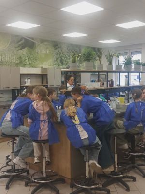 uczniowie analizują w grupie pr&oacute;bki bakterii