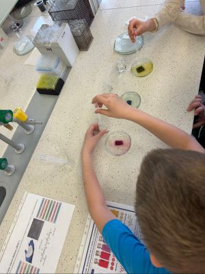 Uczniowie wykonują doświadczenia.