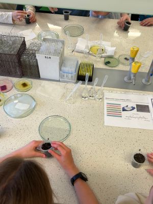 Uczniowie wykonują doświadczenia.