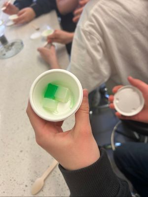 Jadalne kawałki celulozy.