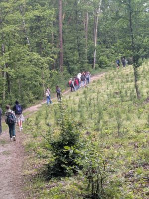 Wędr&oacute;wka po wzniesieniach.