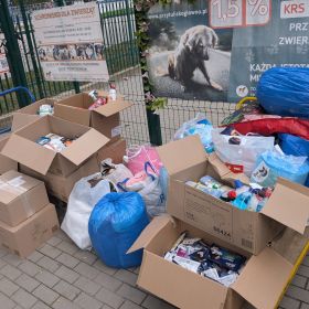 Mamy to! Pomoc dla Przytuliska w Głownie trafiła do psiaków i kociaków!
