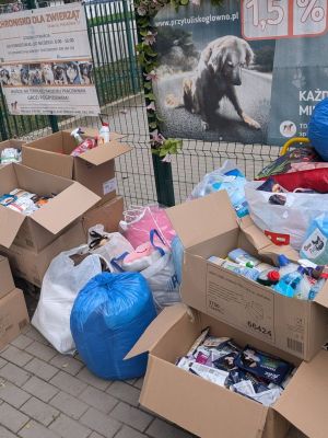 Karma i inne artykuły dla zwierząt zebrane przez uczni&oacute;w