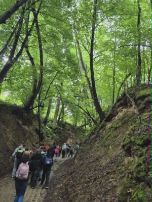 Uczniowie podczas wejścia do Wąwozu Korzeniowego D&oacute;ł.Przejście wąwozem było niezwykłą atrakcją wycieczki.