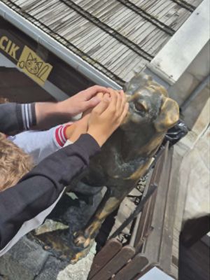 Szczęście dla turyst&oacute;w &ndash; istnieje zwyczaj głaskania nosa pomnika; wytarty nos ma przynosić szczęście. Uczniowie wierzący w przesądy wycierali nos Werniksa, licząc na szczęście w życiu.