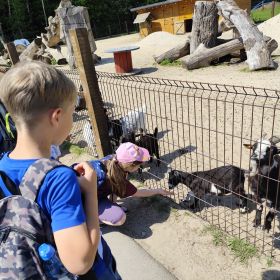 Niezapomniana wycieczka do Dobronianki - Mini Zoo