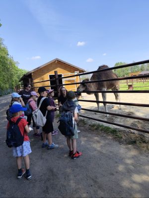 Uczniowie klas drugich karmią zwierzęta podczas spotkania edukacyjnego. 