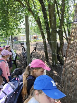 Uczniowie klas drugich karmią zwierzęta podczas spotkania edukacyjnego. 