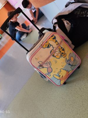 Kreatywność naszych uczni&oacute;w nie zna granic. Nietypowe alternatywa dla codziennych plecak&oacute;w.