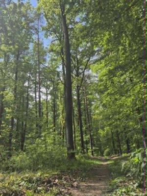 Wśr&oacute;d malowniczych zakątk&oacute;w Park Krajobrazowy Wzniesień Ł&oacute;dzkich odkrywają piękno natury, wsłuchując się w odgłosy lasu.