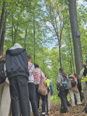 Podczas wycieczki po lesie uczennice klasy VIb poznawały domki dla nietoperzy. Dowiedziały się, że takie schronienia pomagają nietoperzom bezpiecznie odpoczywać i chronią je przed niekorzystnymi warunkami.