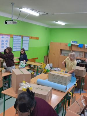 Pakowanie produkt&oacute;w.