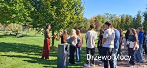 Drzewo mocy