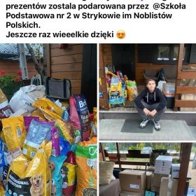 Wsparcie zwierząt z Przytuliska w Głownie