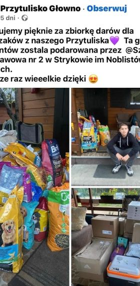 Wsparcie zwierząt z Przytuliska w Głownie