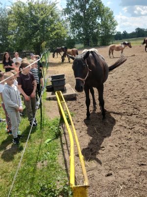  Uczniowie klas drugich w gospodarstwie agroturystycznym Stajnia Rudej Wiedźmy