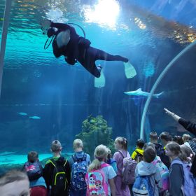 Wycieczka do zoo klas pierwszych