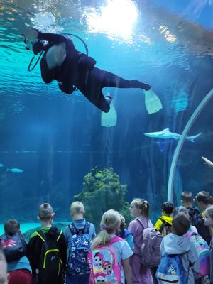 Uczniowie spacerujący alejkami zoo.