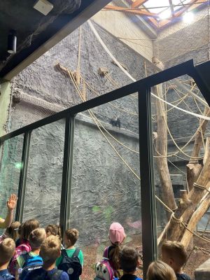 Uczniowie spacerujący alejkami zoo.
