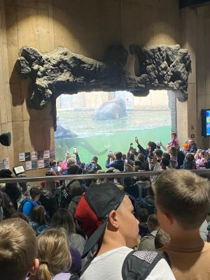 Uczniowie spacerujący alejkami zoo.