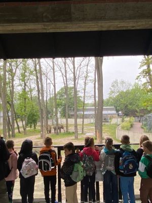 Uczniowie spacerujący alejkami zoo.