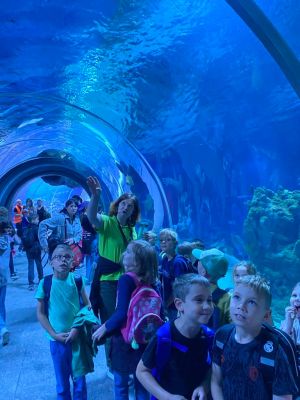 Uczniowie spacerujący alejkami zoo.