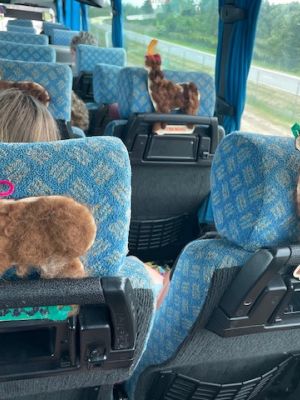  Kolorowe alpaki ozdobione przez uczniów podczas warsztatów plastycznych. 